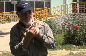 Peter Egan meets Kabul’s cutest kitten during his recent Wetnose trip to Nowzad