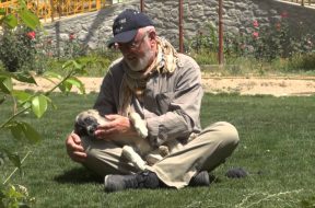 Peter Egan and Sash during Wetnose trip to Nowzad Animal Shelter, Afghanistan