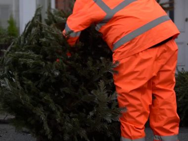 Successful Christmas Tree Collections in Wandsworth 2020