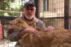 Peter Egan meets Joe, the most amazing rescue dog during Wetnose trip to Kabul