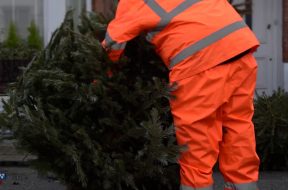 Successful Christmas Tree Collections in Wandsworth 2020